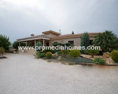 Finca - Resale - Elche - B-1234