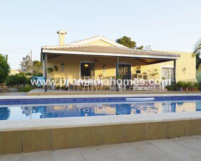 Villa - Venta - San Pedro del Pinatar - P-27936