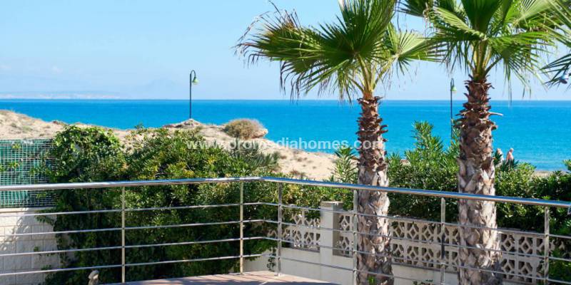 Discover our magnificent properties in La Mata and enjoy all the benefits of the year